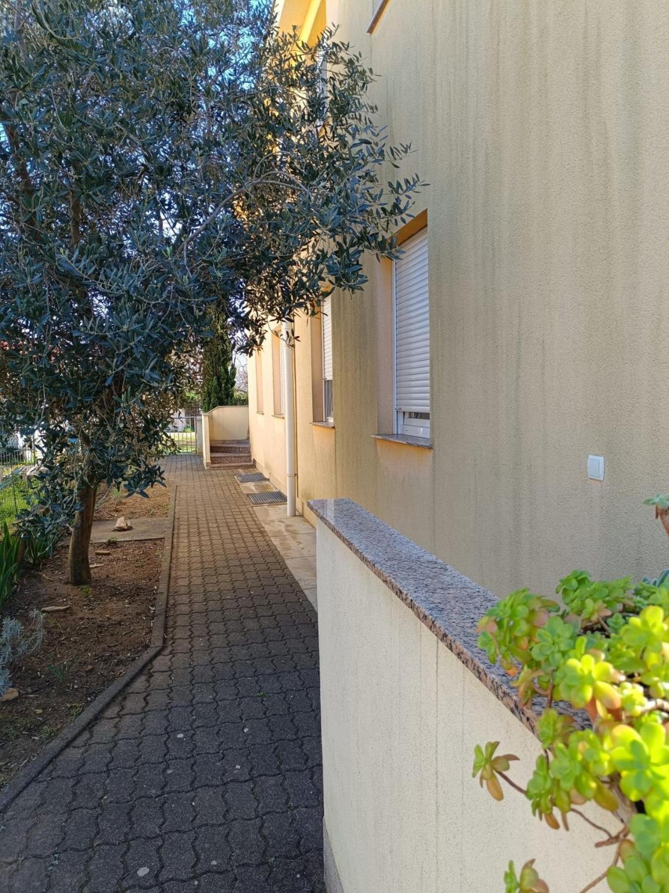 Apartments David - Sabunike Near Nin Privlaka  Exterior foto